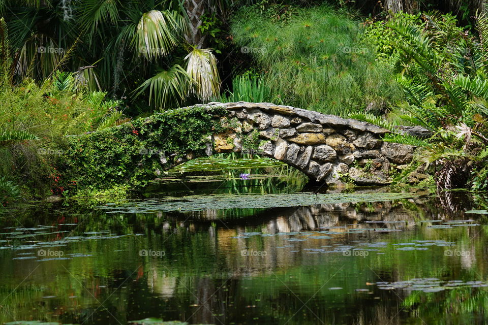 Stone bridge over pond