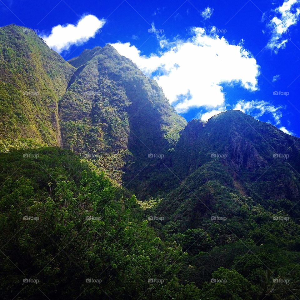 Iao valley