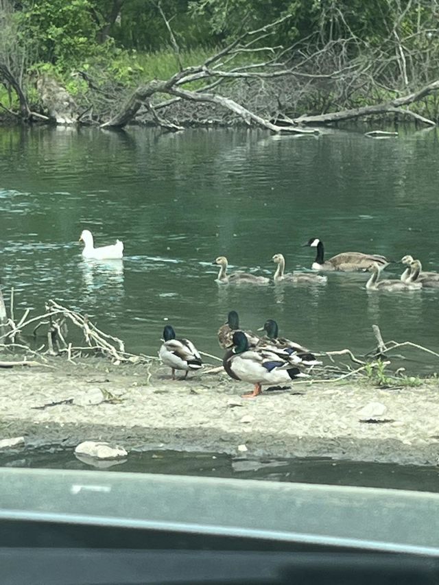Beautiful nature 