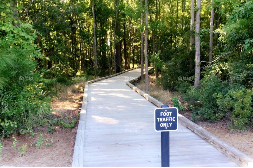 This Narrow Wooden Bridge brings you to a Secret Luxurious Garden