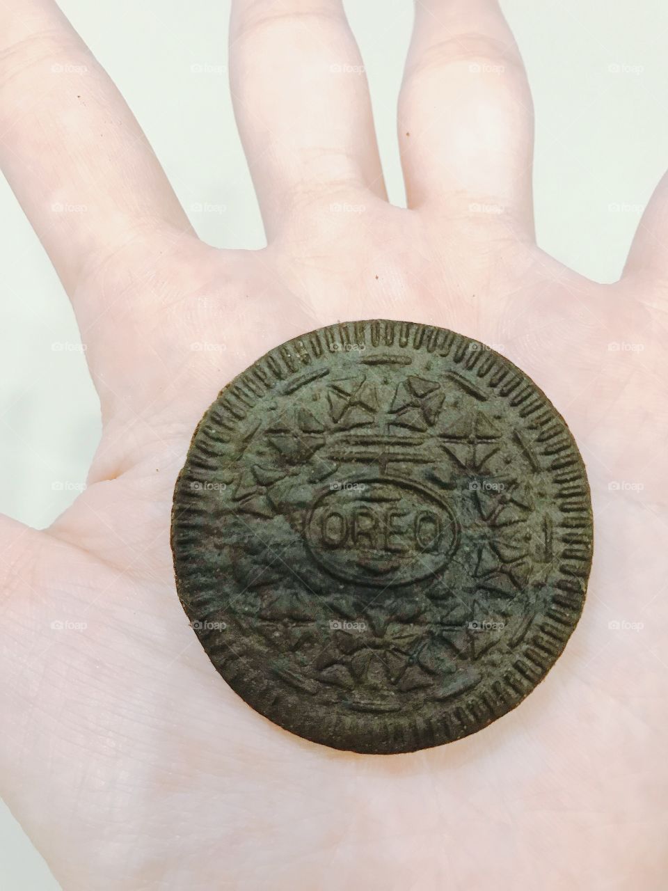 Oreo on my hand