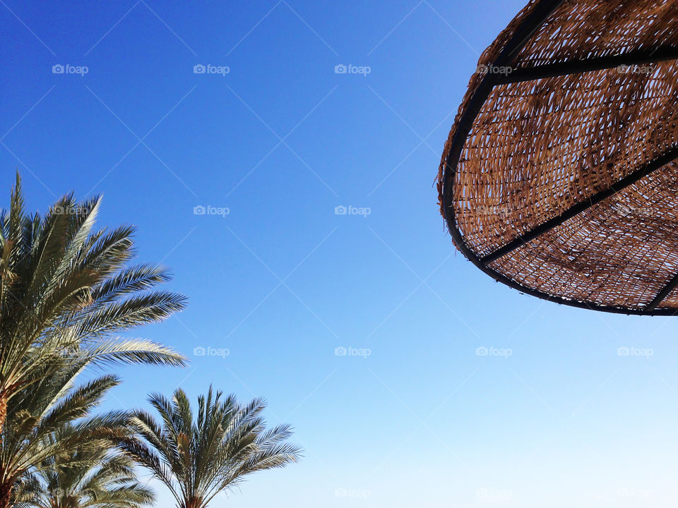 Summer tropical vacation background with palm tree and umbrella 