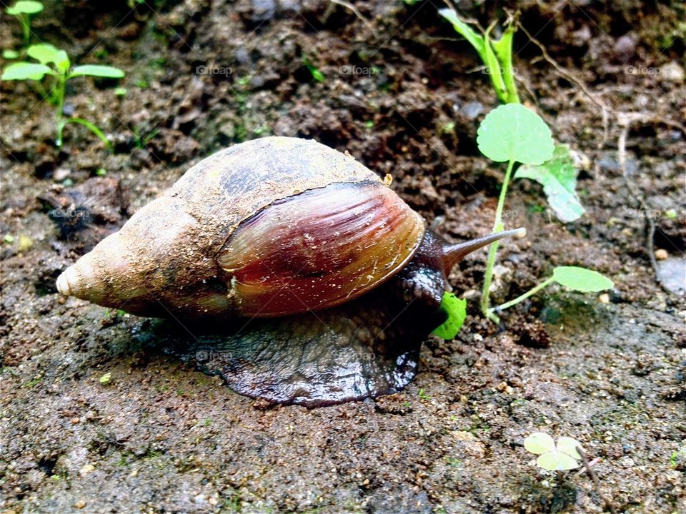 Mindo, Ecuador 