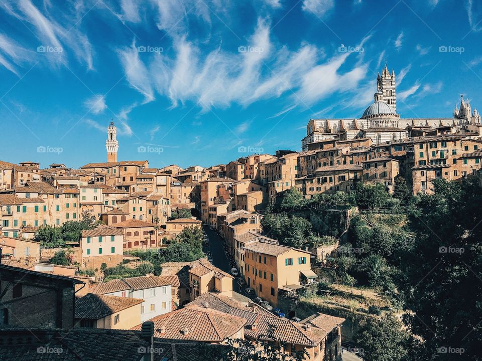 Cityscape of Siena