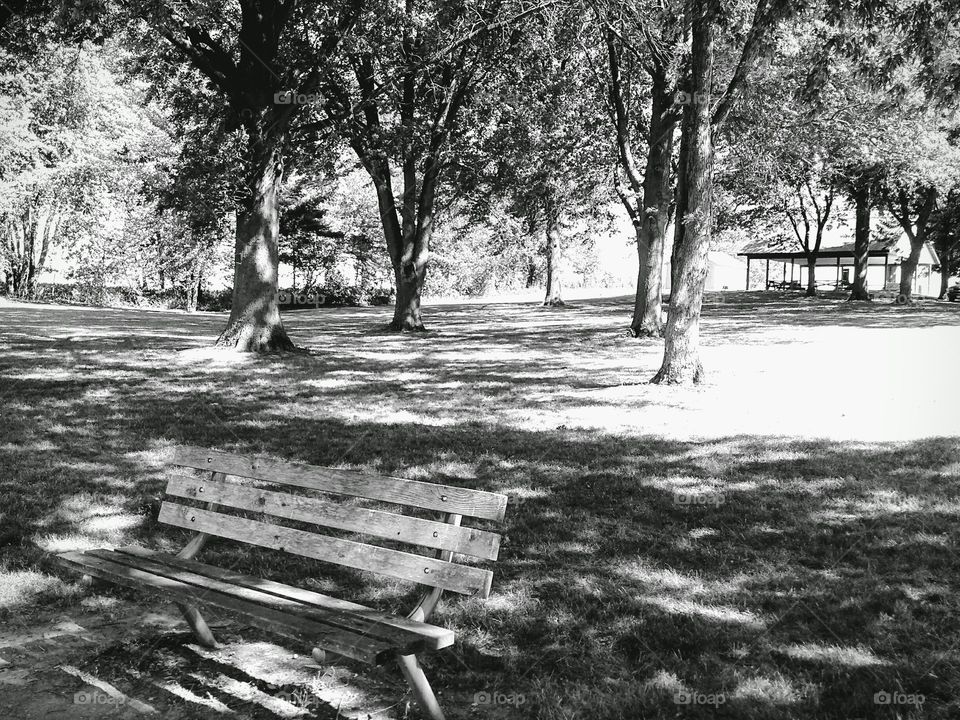Park bench, black and white