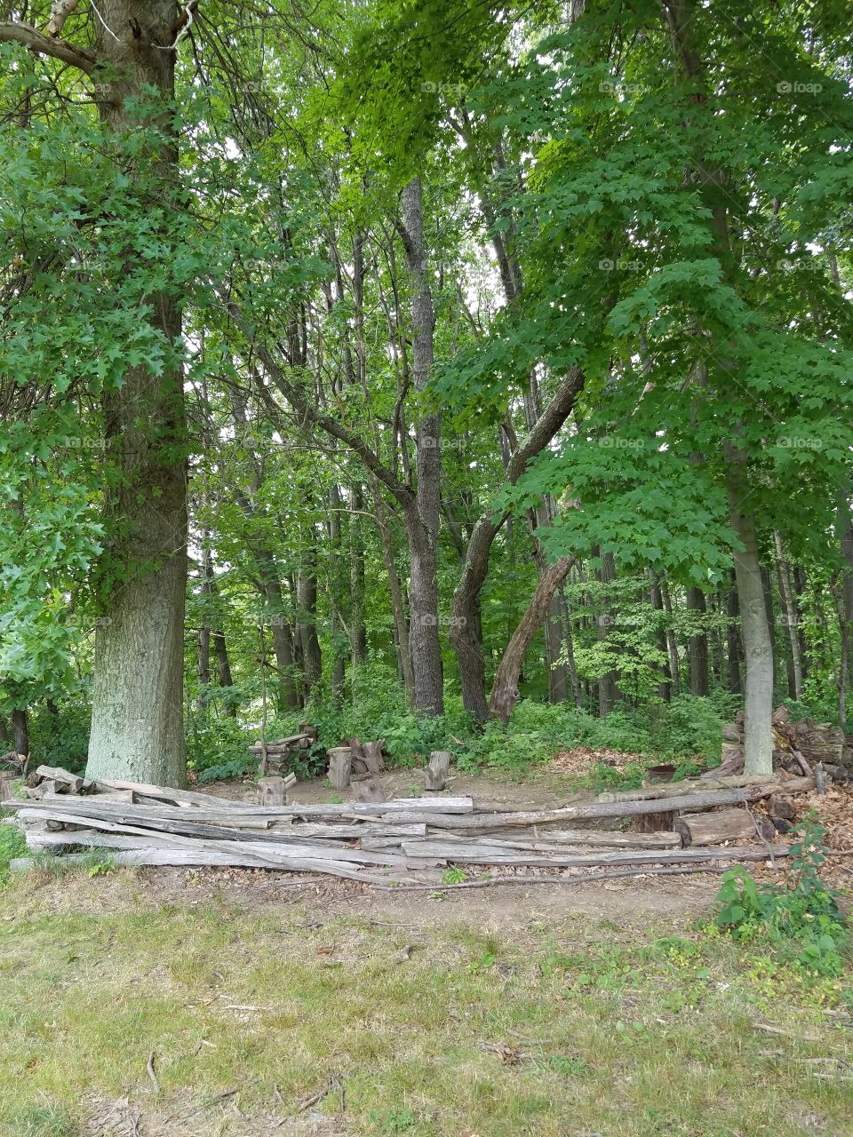 part of a camp site at Bushy Run Battlefield