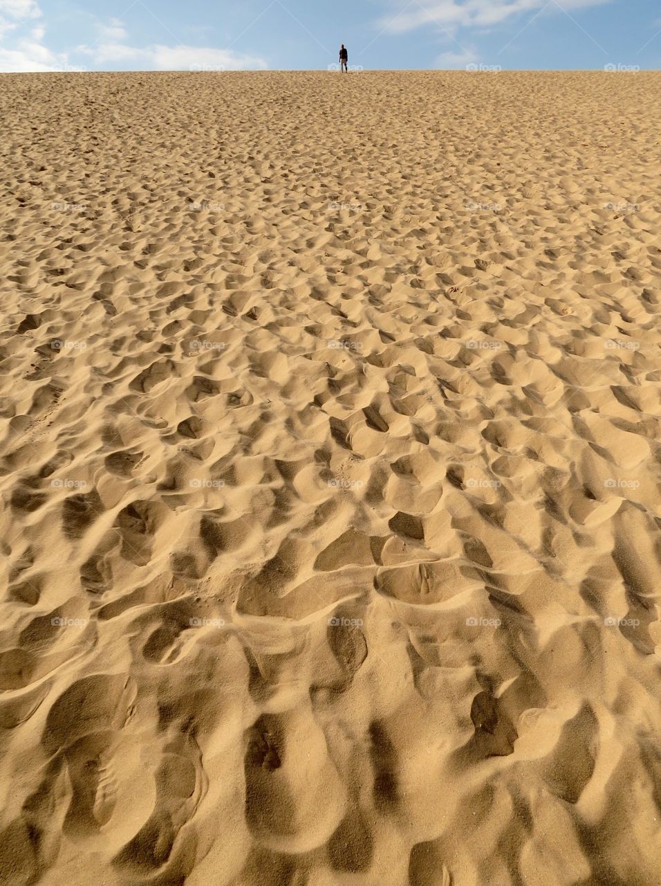 King of the hill. King of the hill - Sleeping Bear Sand Dunes, MI 