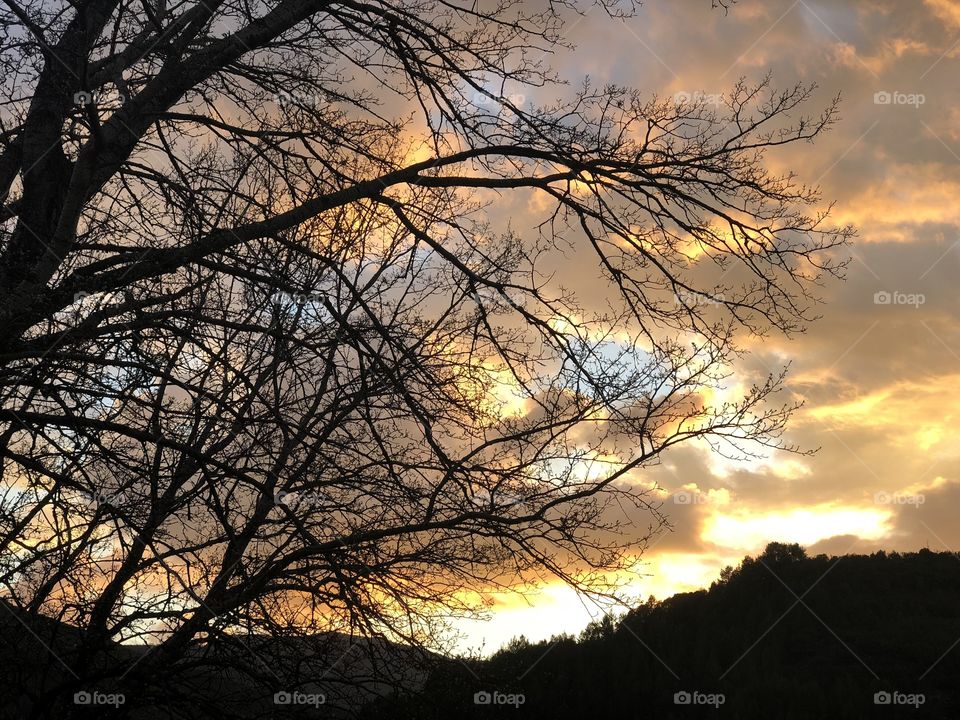 Capture the moment 📸