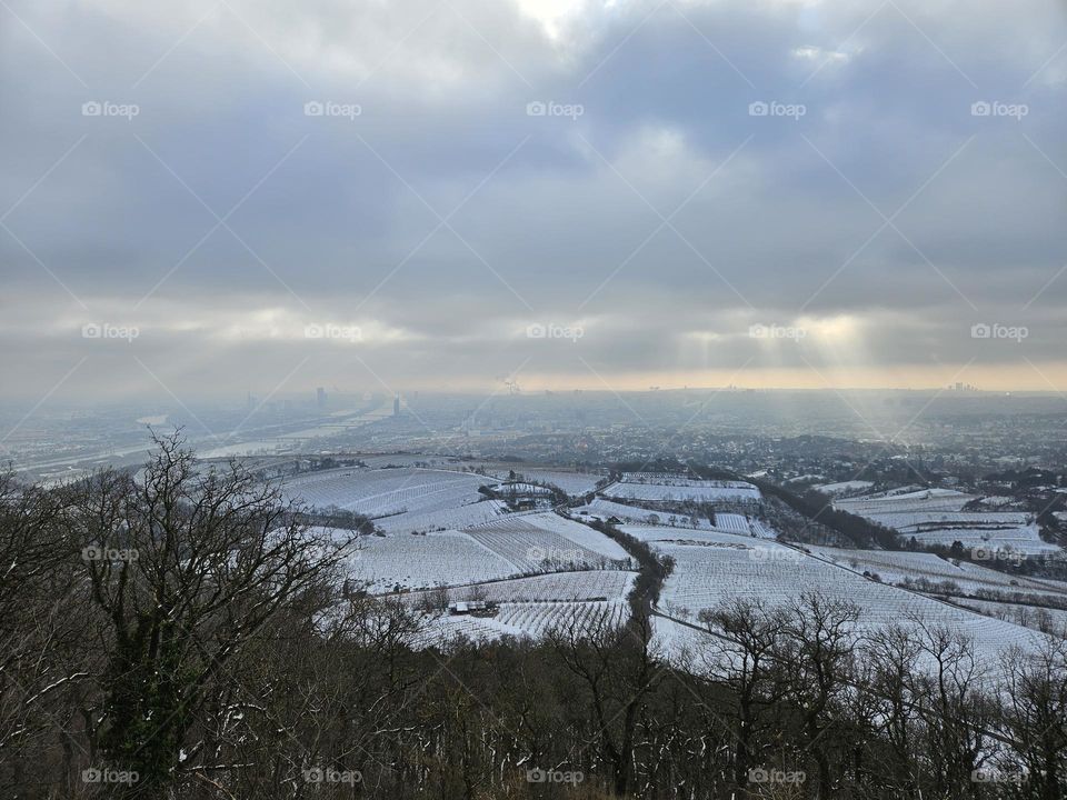 Wien view