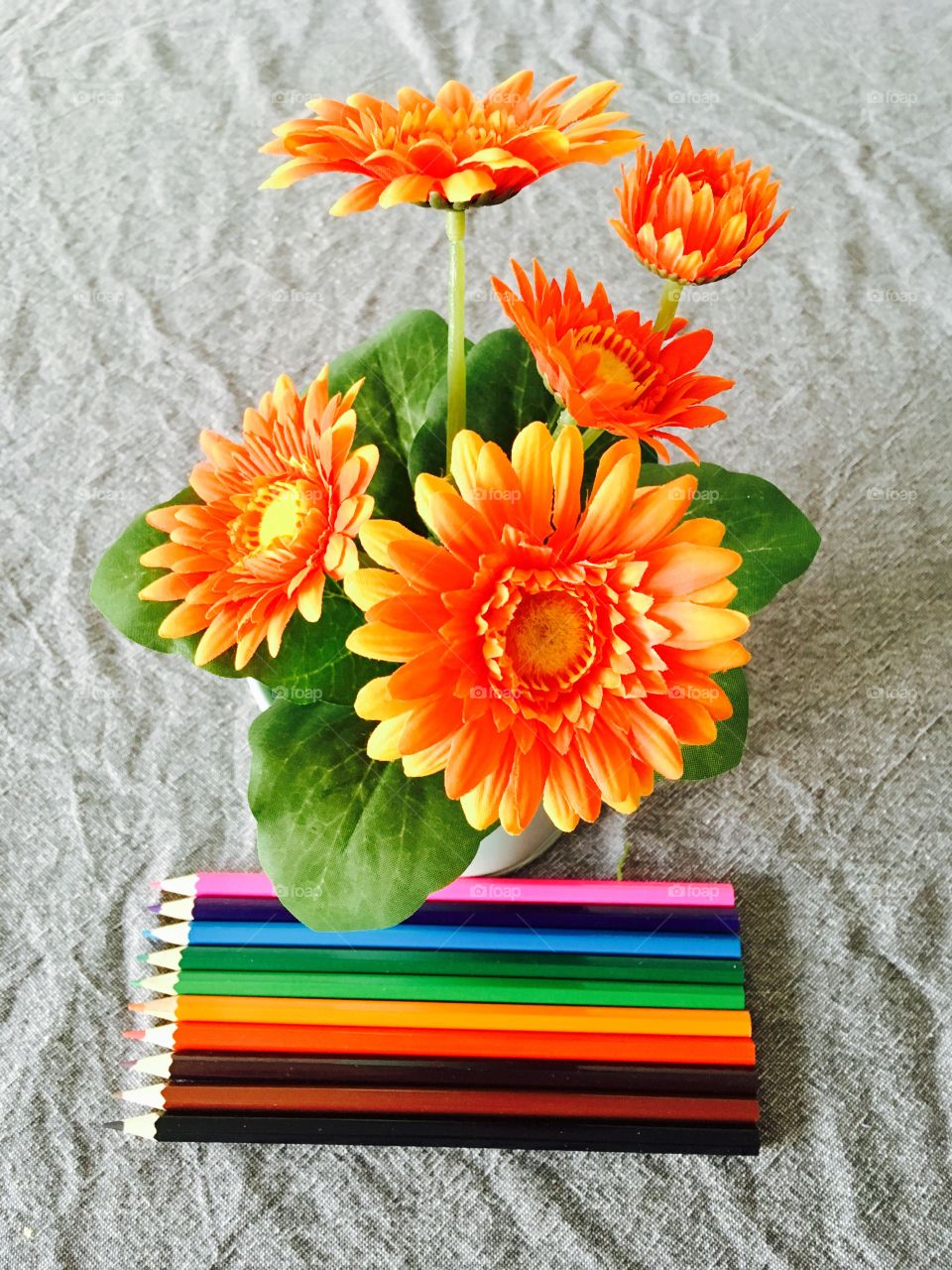 Colour pencils and flowers 