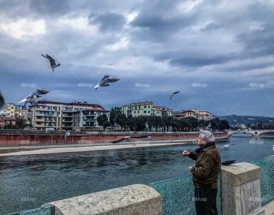 I was captured thip photo in last week in castelveicchio Verona. When i was sitting i saw a man feeding to birds.my eyes want to capture that moment then i will capture this photo in my iphone 7+