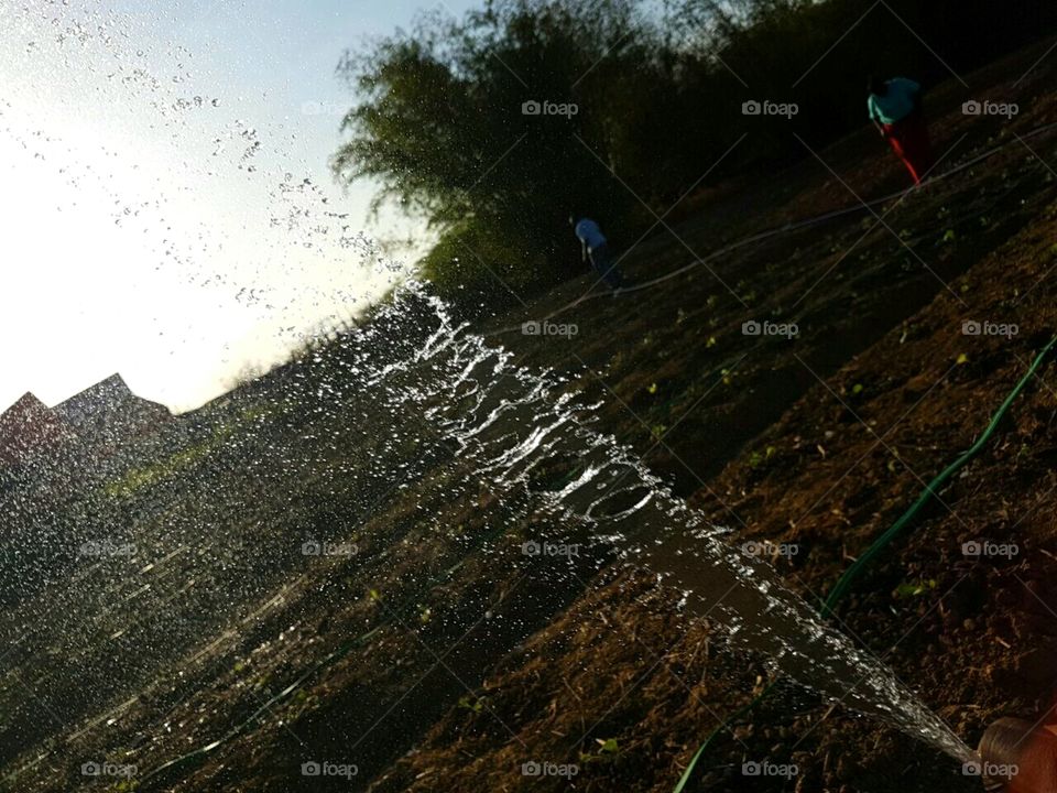 water in motion at the garden