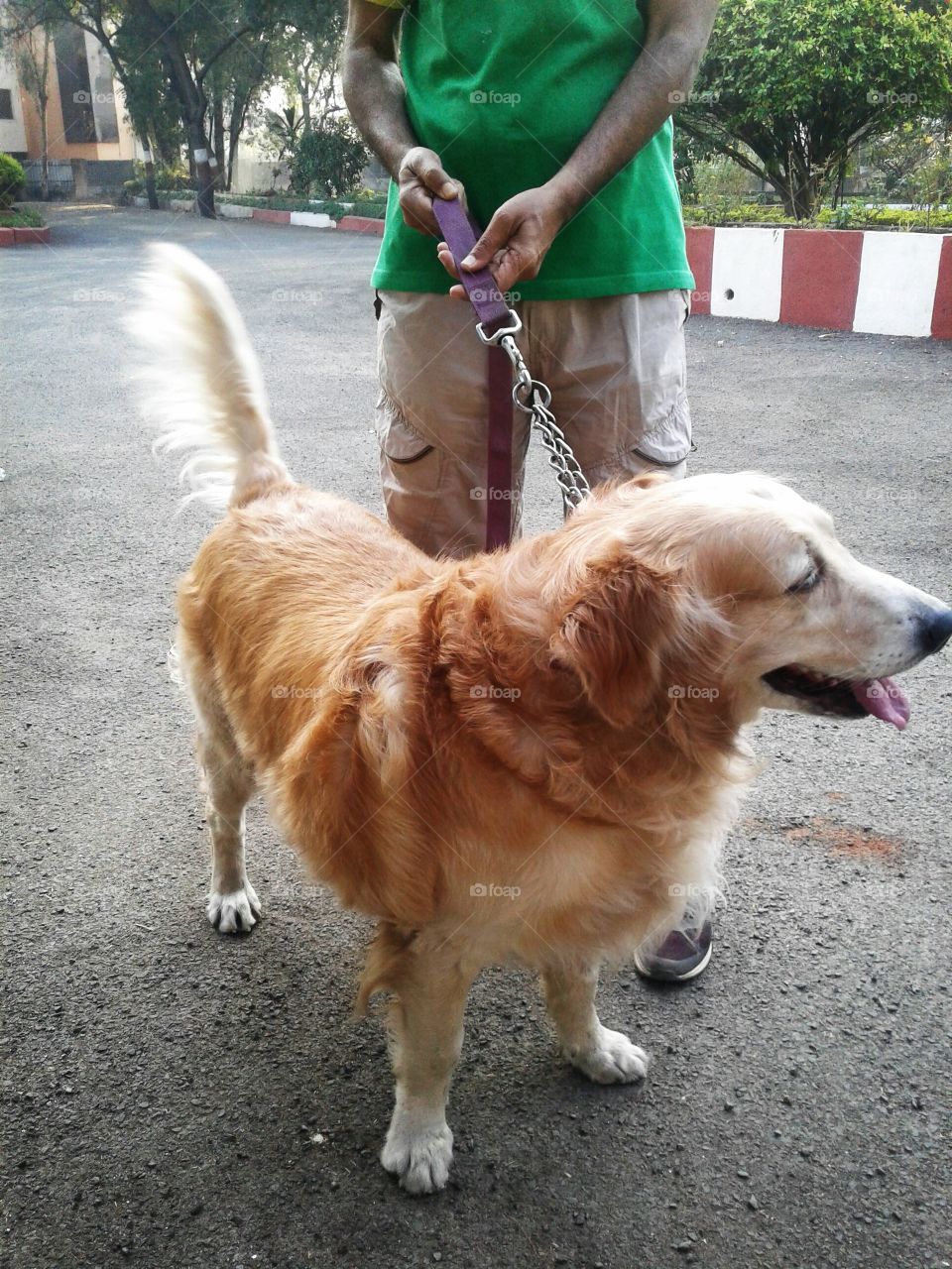 Indian dog - An Indian man caught the dog outside on the road.