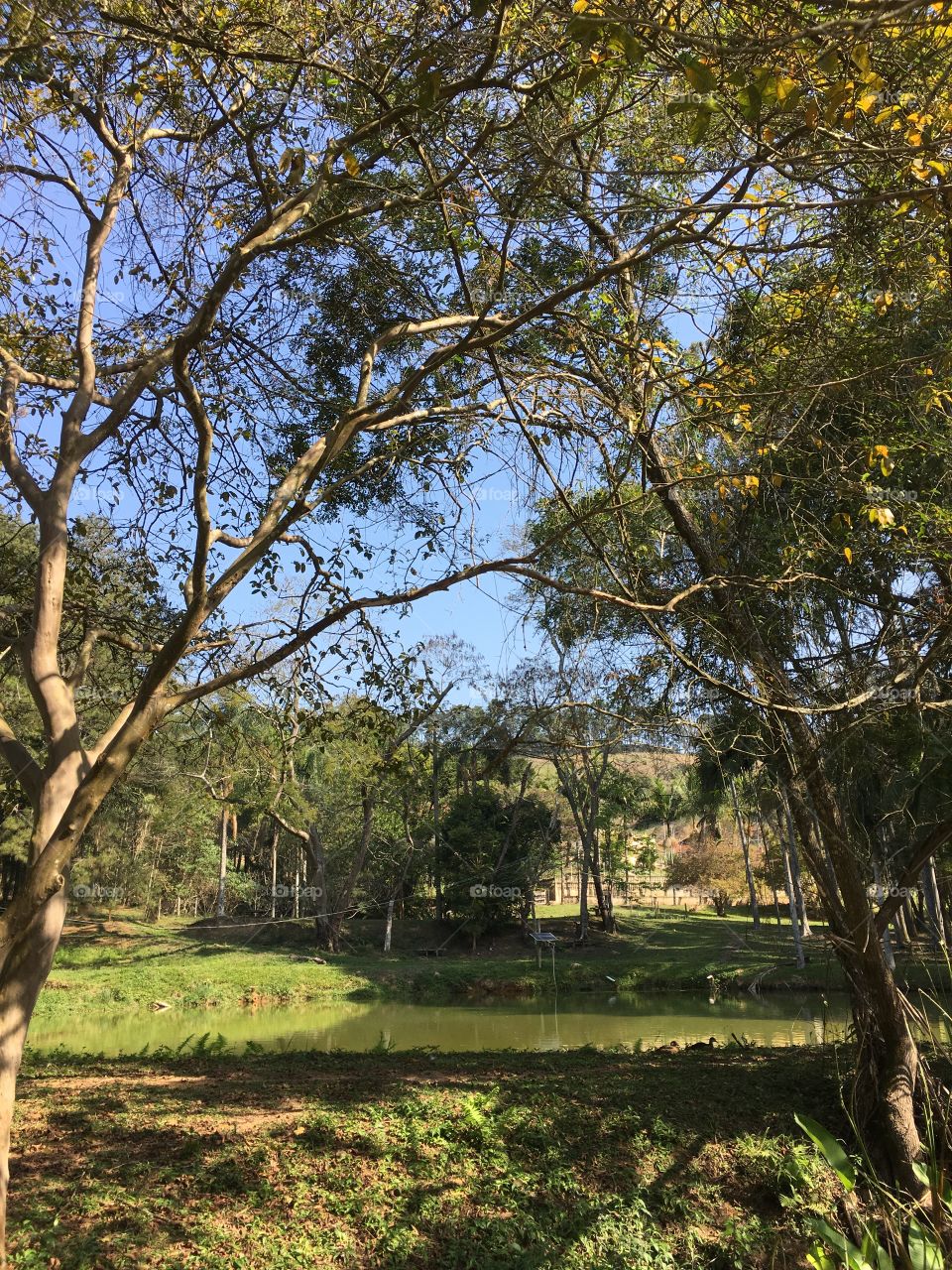 Paisagem relaxante de uma natureza exuberante. Olha aqui a Serra do Japi, em Jundiaí. 