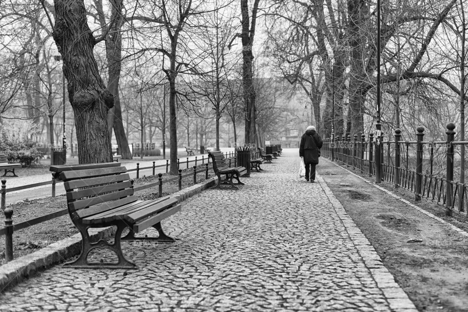 Street 