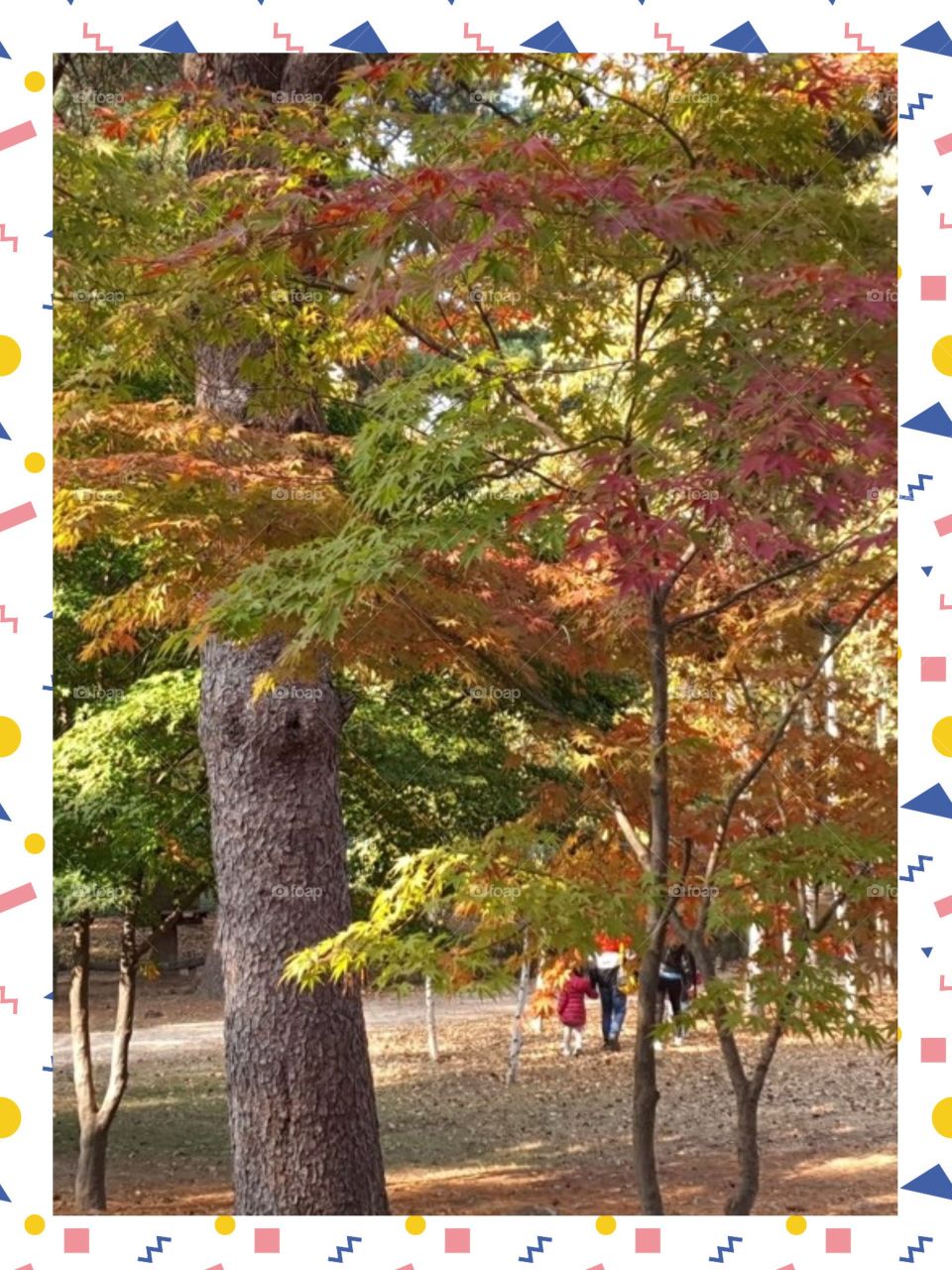 The BEauty Autumn In South Korea.