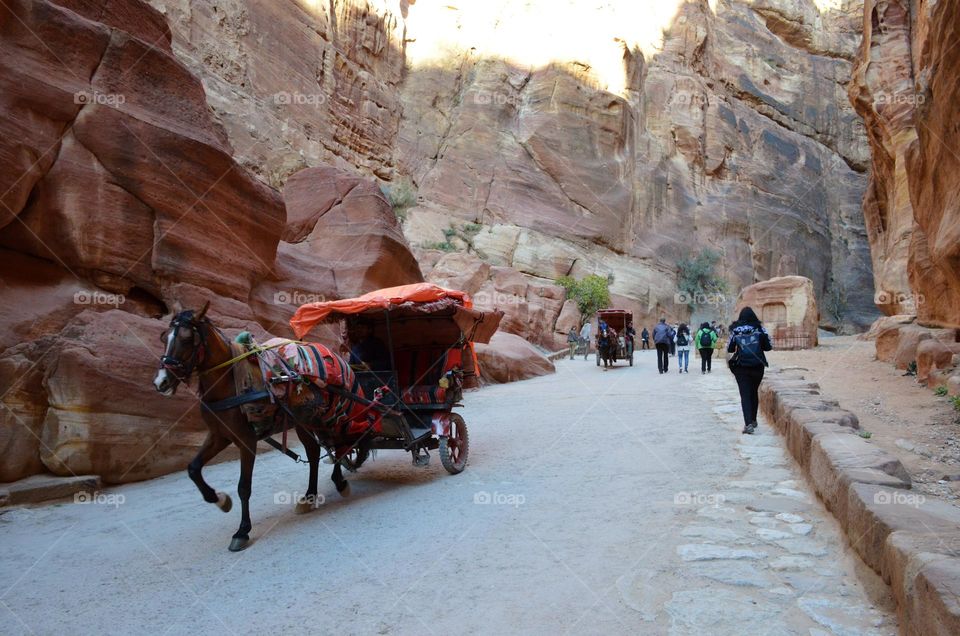 Road Trip, Petra, Jordan