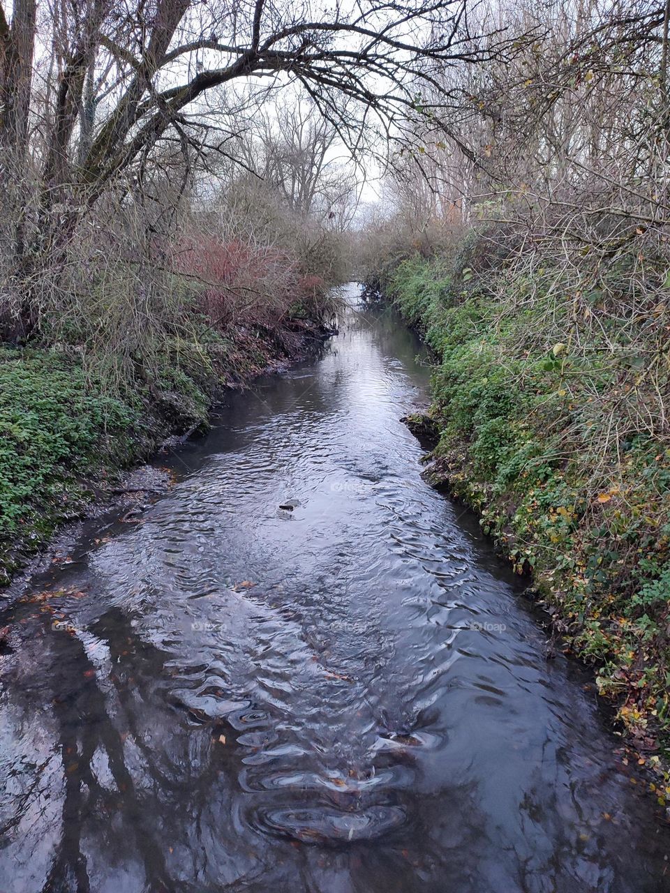 Stream , river