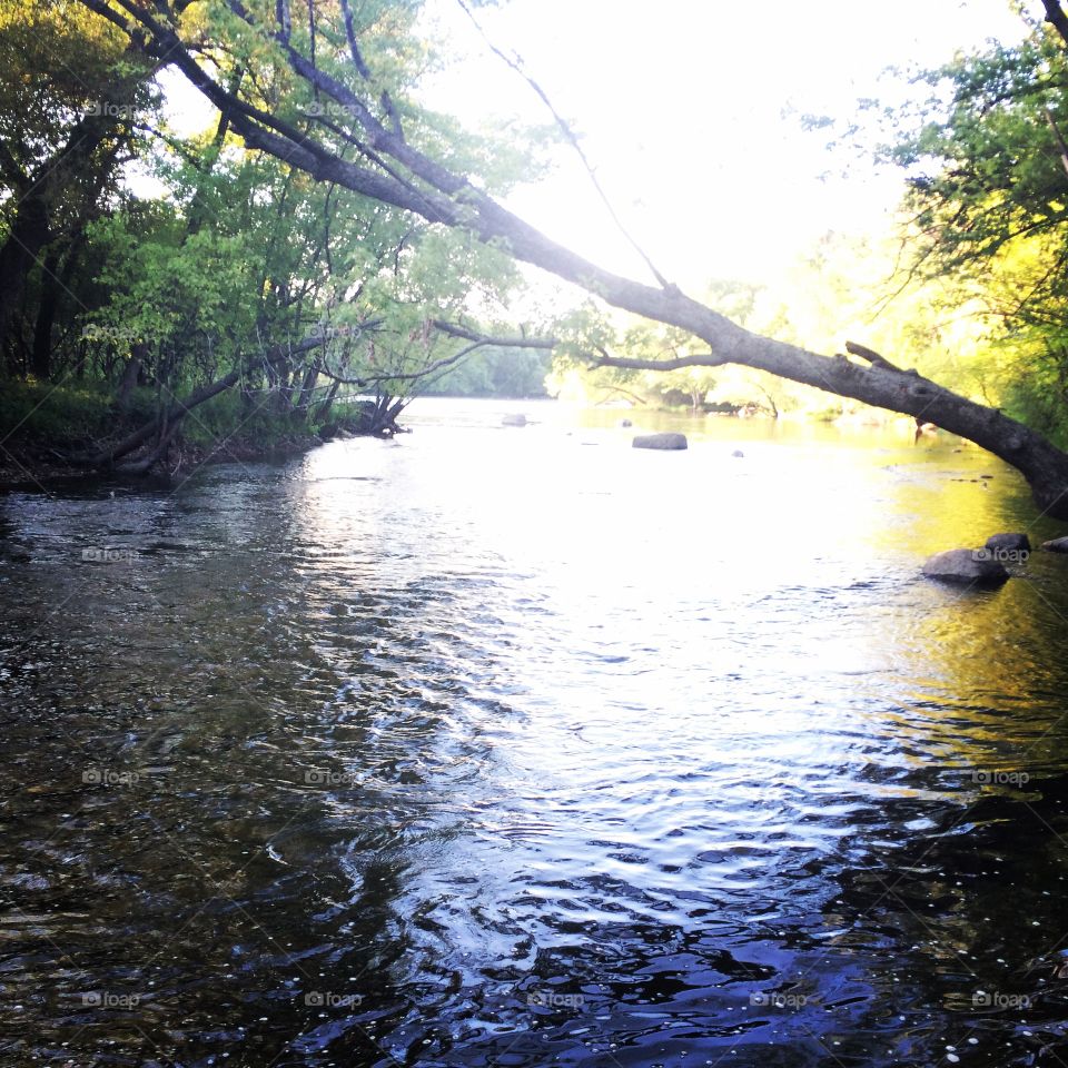 On the river 