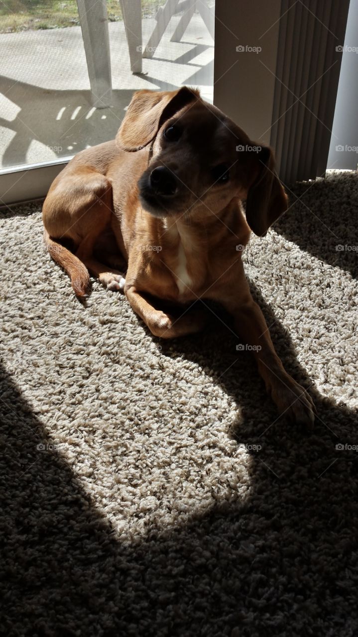 say whaaaaaaaaaaaa?!?!