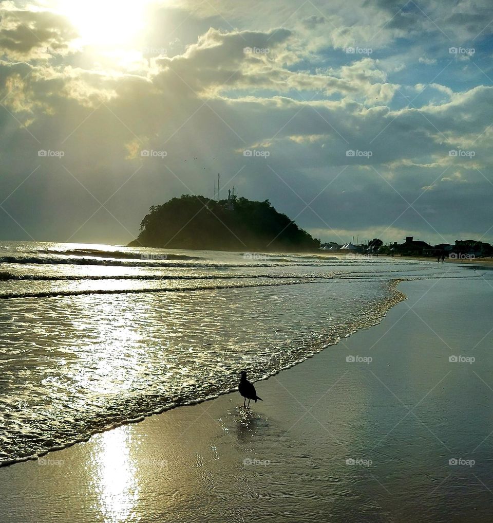 Uma linda gaivota integra esse lindo amanhecer do dia, sol e seu brilho, as ondas do mar, tudo sugerindo viver com intensidade.