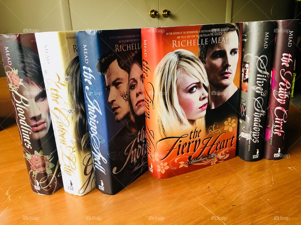 The spin-off of Vampire Academy, Bloodlines, also by Richelle Mead. Another amazing series that I couldn’t get enough of and was sad when it ended. The fourth book: The Fiery Heart. 