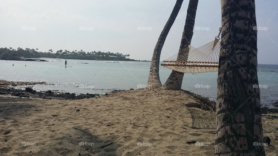 Hammock by the Ocean