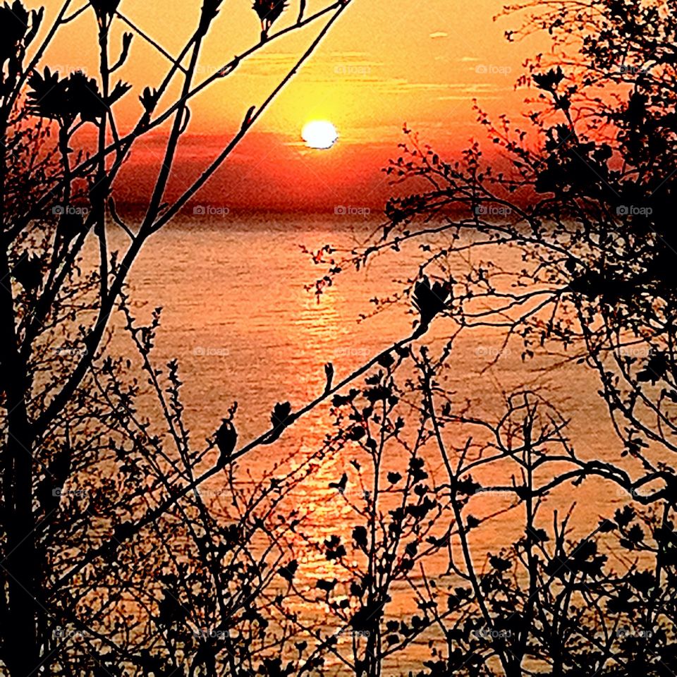 The sun has risen. Sunrise