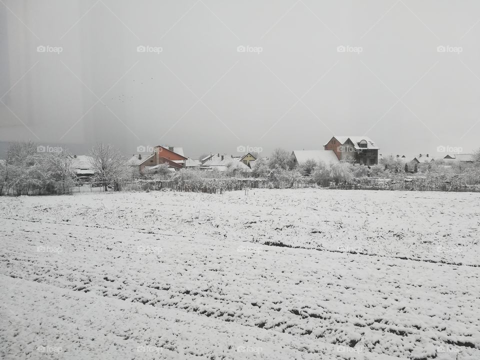 Winter in the countryside