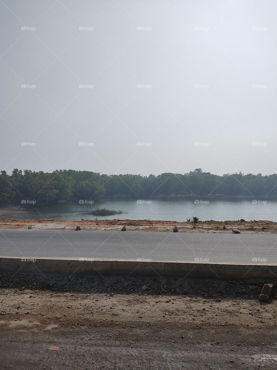 Dense forest and water along the main road.