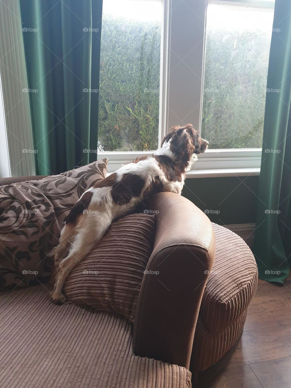 looking out of the window