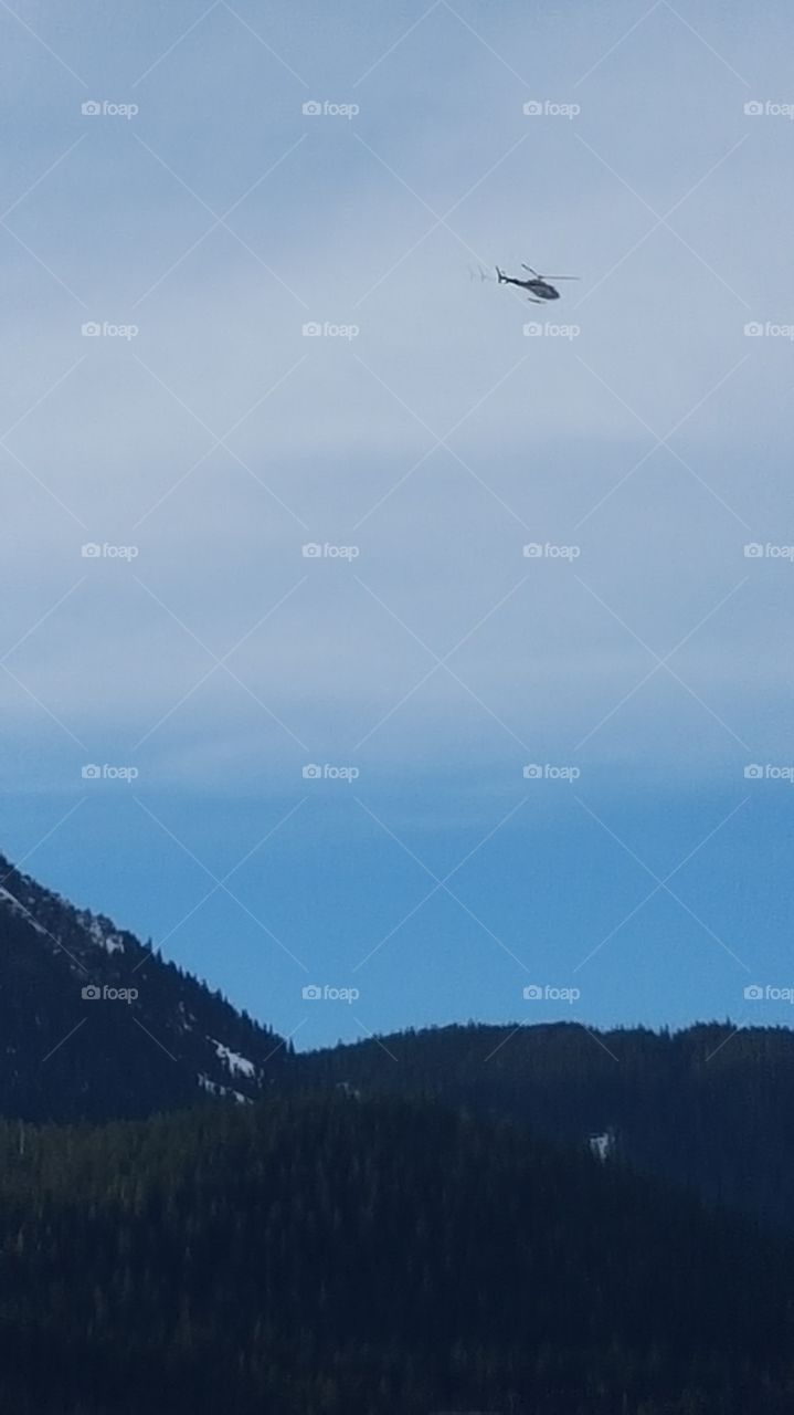 helicopter in flight