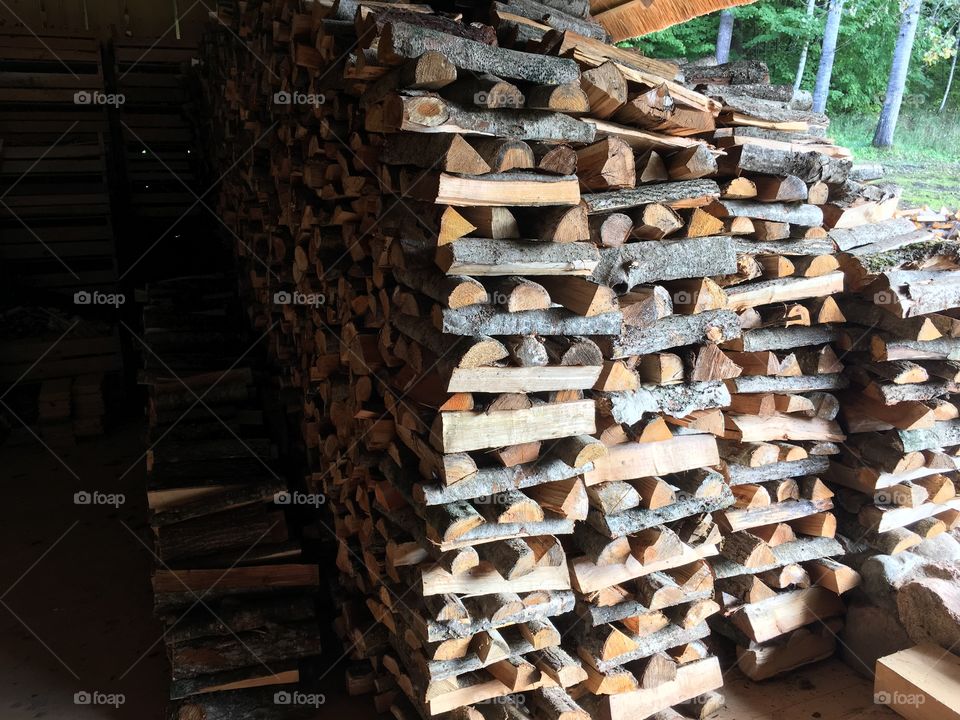 Industry, Wood, No Person, Log, Tree Log
