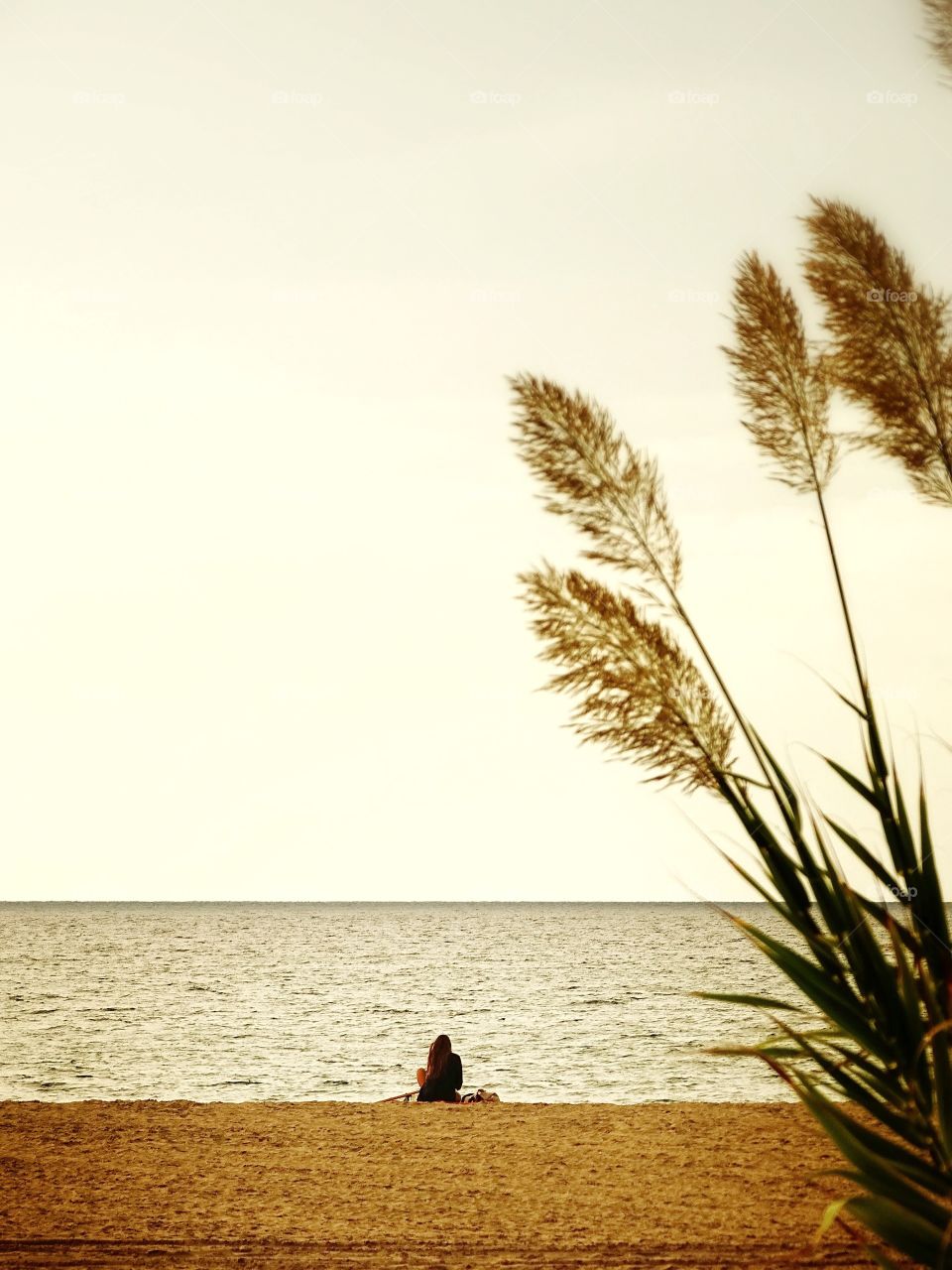 It will be that autumn comes