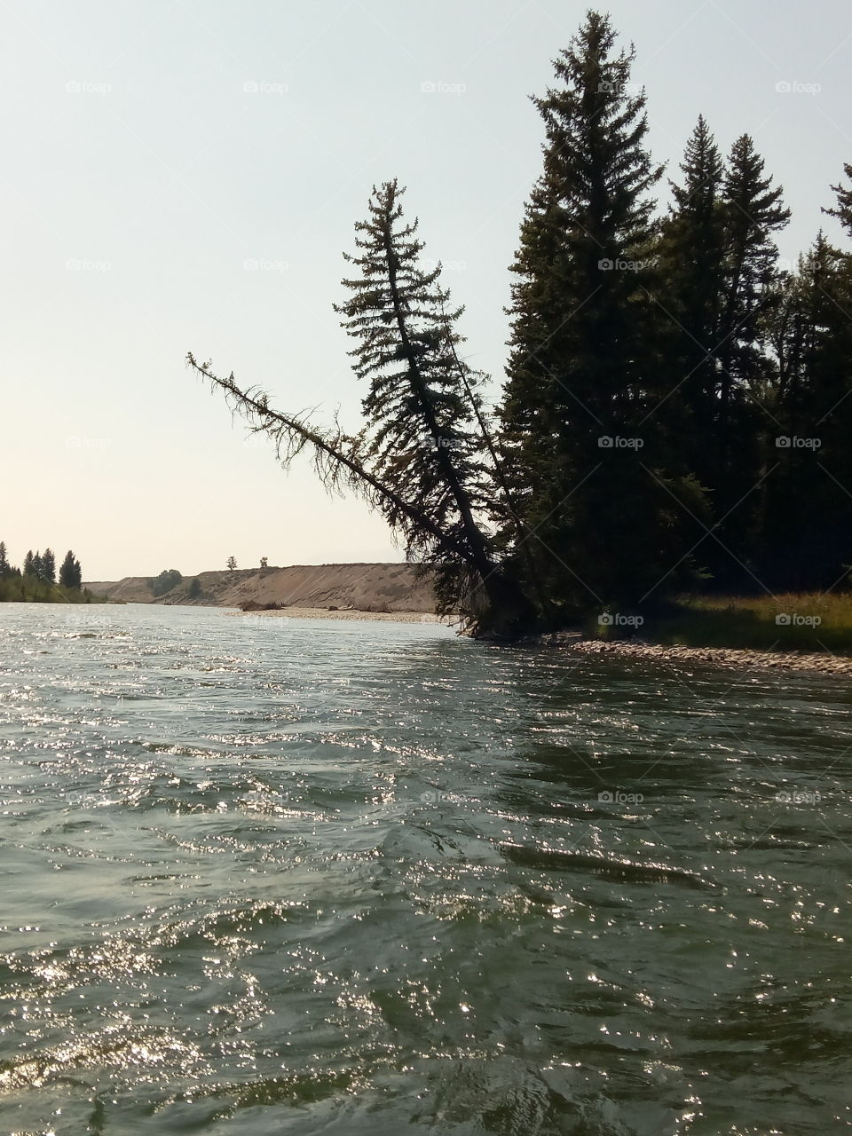 sneak River Idaho