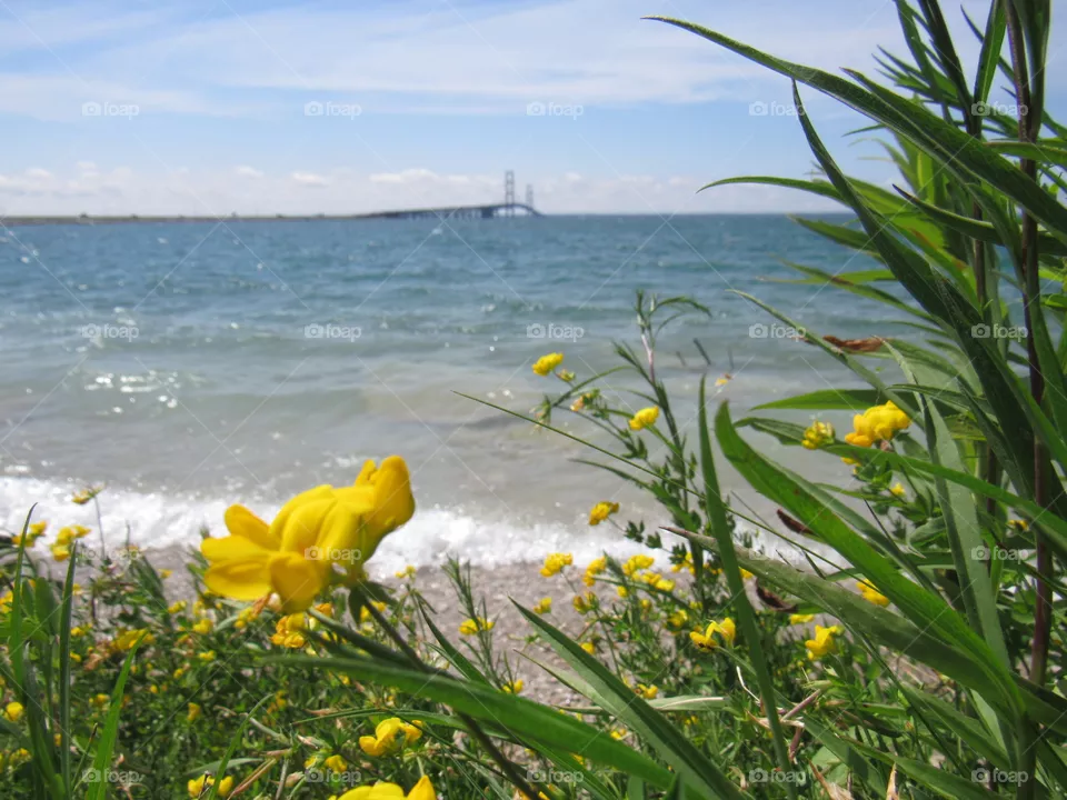 Mackinaw bridge 