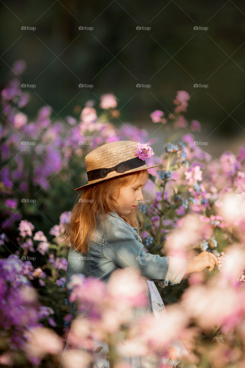 Cute little girl portrait in blossom meadow at sunset 