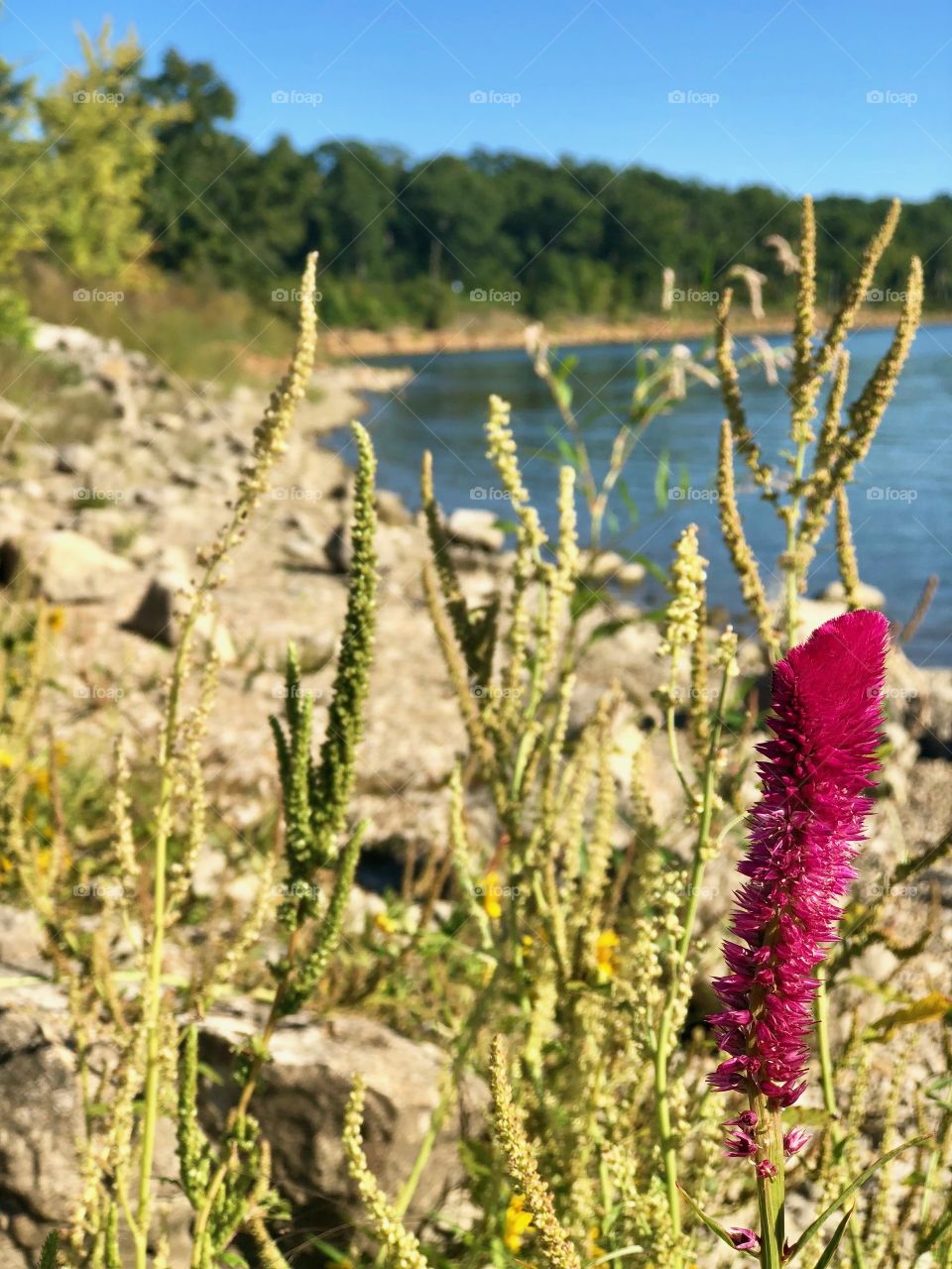 Long branch Missouri state park