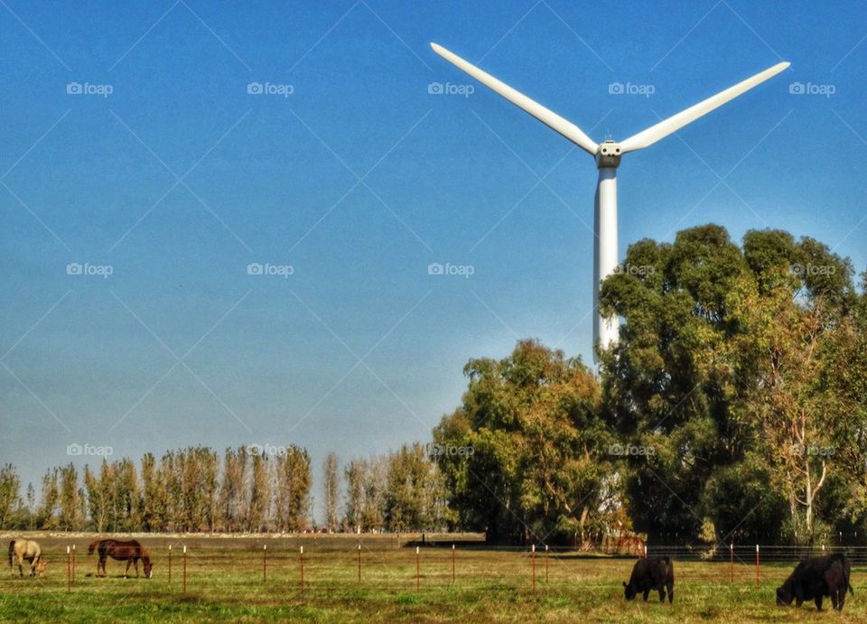 Wind Power