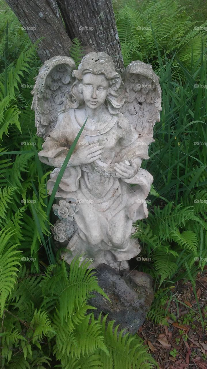 Southeast east Texas garden angel.