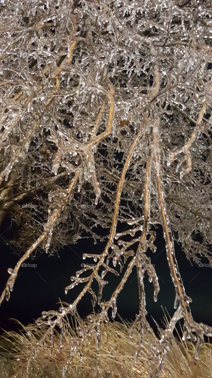 Icy Feb. morning...cold and beautiful at the same time!