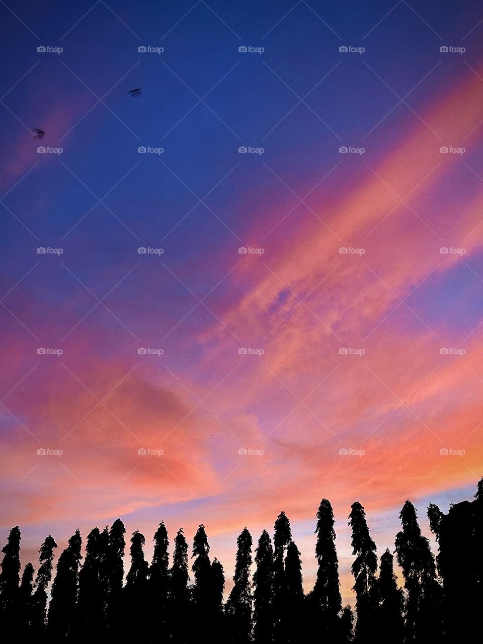 Let’s call it a day. 