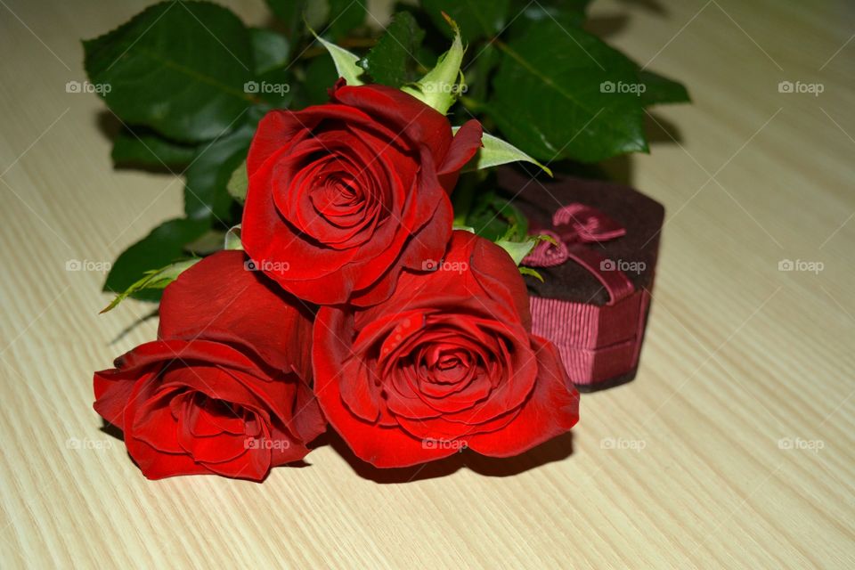 Rose, Flower, Romance, Love, Gift