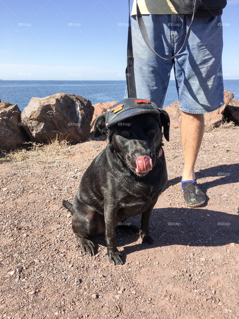 Black dog wearing black leather visor hat with owner on leash outdoors 