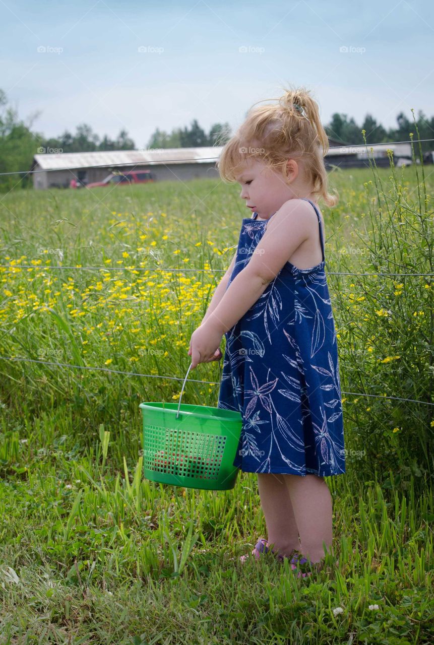 Cute girl holding bucket of strawberries