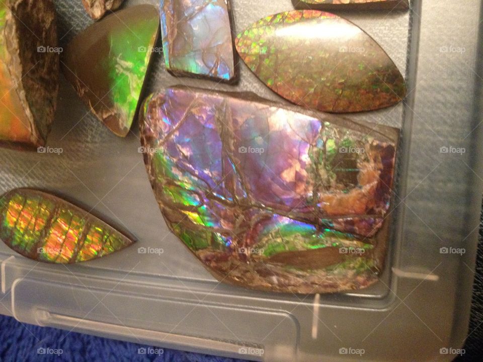 Ammolite collection Alberta . Found only in southern Alberta, Canada
