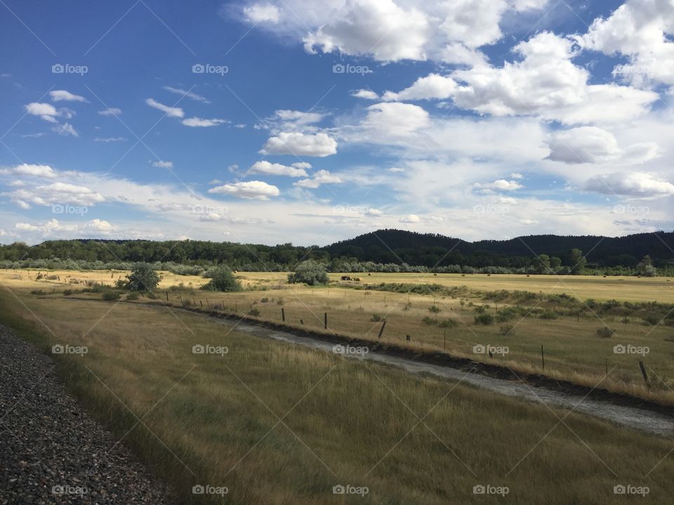 Landscape, No Person, Sky, Road, Cropland