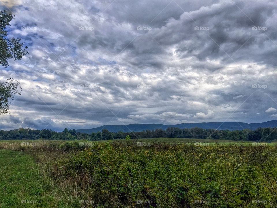 Meadow, sky, and mountain . A beautiful day in nature. 