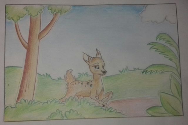my drawings