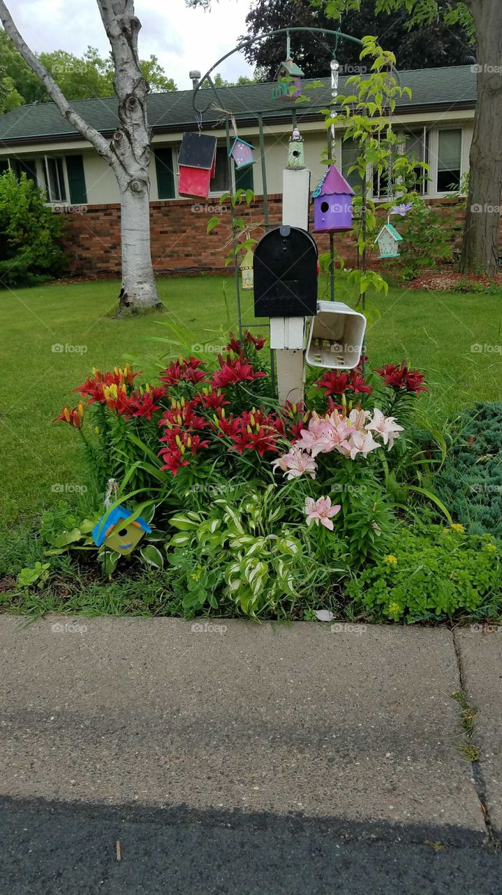 Lilly Birdhouses Mailbox
